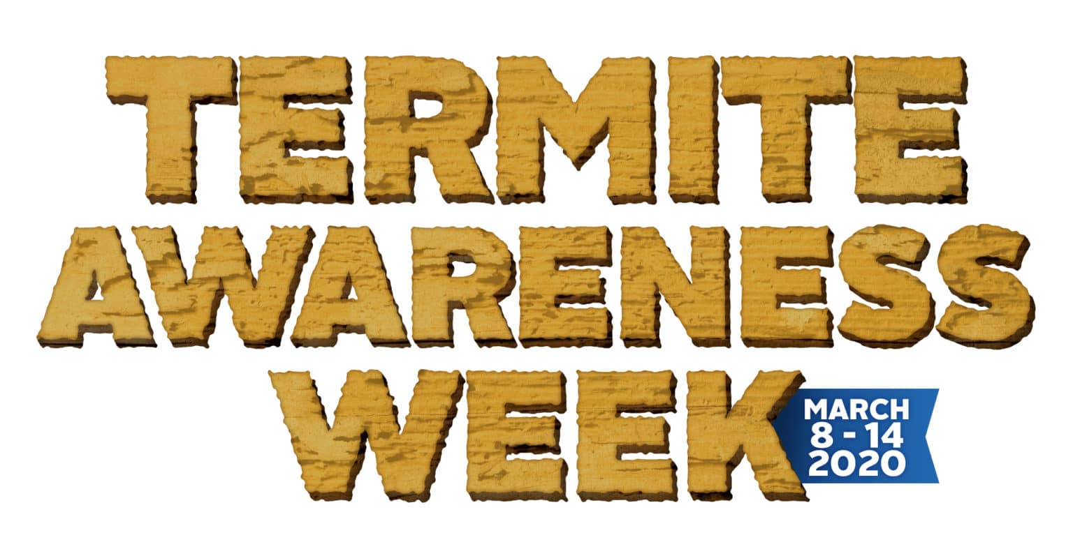 Termite Awareness Week What to Know as Warm Weather Approaches